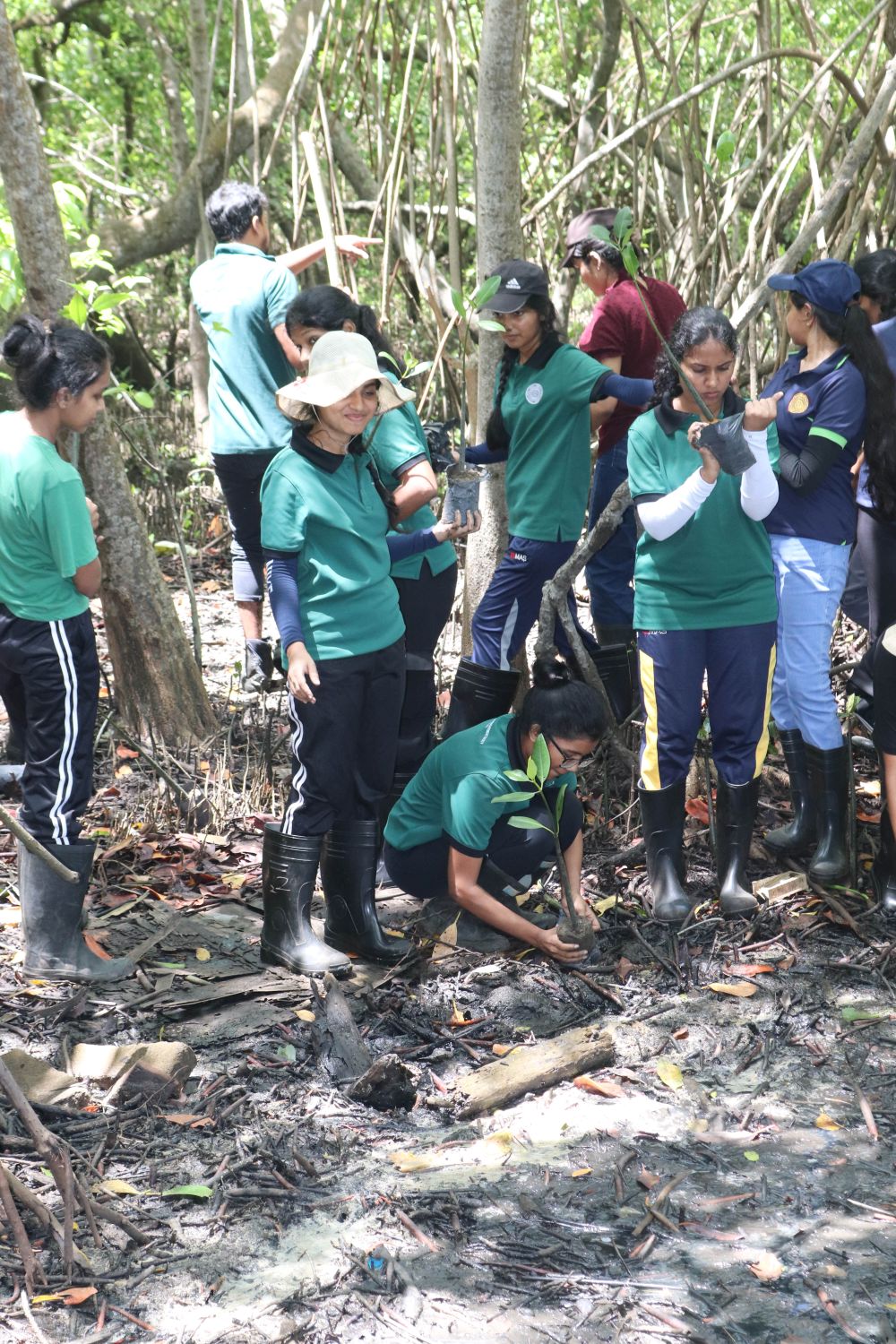 On 5th June, in celebration of World Environment Day, the Centre for Sustainable Solutions (CSS) of the University of Kelaniya visited the Lanka Mangrove Museum and Learning Center to participate in a mangrove restoration programme. As part of the initiative, students and staff members planted 100 mangrove saplings, contributing to the conservation and restoration of the valuable mangrove ecosystem in the Pambala area. The programme aimed to raise environmental awareness while encouraging active participation in climate action and biodiversity conservation.