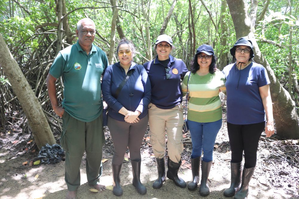 On 5th June, in celebration of World Environment Day, the Centre for Sustainable Solutions (CSS) of the University of Kelaniya visited the Lanka Mangrove Museum and Learning Center to participate in a mangrove restoration programme. As part of the initiative, students and staff members planted 100 mangrove saplings, contributing to the conservation and restoration of the valuable mangrove ecosystem in the Pambala area. The programme aimed to raise environmental awareness while encouraging active participation in climate action and biodiversity conservation.