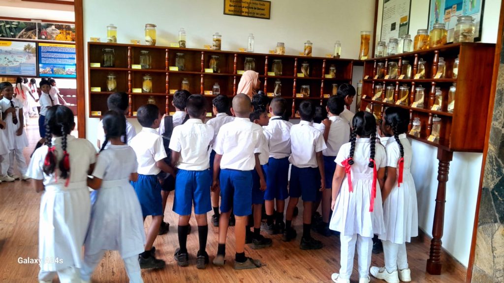 Students from Grades 4, 5, 10, and 11 of Madampe Muslim School visited the Lanka Mangrove Museum and Learning Center for an educational programme. During their visit, the students explored the museum exhibits, learned about the importance of mangrove ecosystems, biodiversity conservation, and environmental protection.