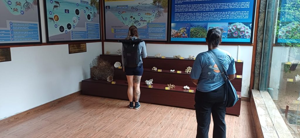 A doctoral research scholar from Canada, Ms. Katharina, together with a student from the Ocean University of Sri Lanka, visited the Sri Lanka Mangrove Museum and Learning Centre on June 12, 2026, to conduct an observational study focused on mangrove conservation and eco-tourism. The primary objective of the visit was to collect data and information for Ms. Katharina’s PhD research, which explores the relationship between mangrove ecosystem conservation and sustainable eco-tourism development. Working in collaboration with the Ocean University of Sri Lanka, the research aims to identify effective ways of protecting mangrove habitats while promoting environmentally responsible tourism opportunities.