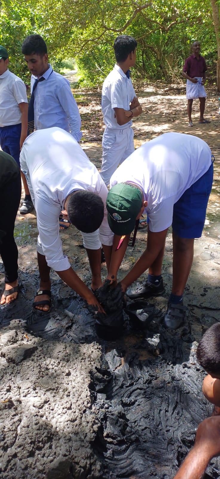 A mangrove awareness and training programme organized by Action Unit was successfully conducted on June 13, 2026, at Madakapuwa with the participation of school students, members of the fishing community, and the staff of Action Unit.
