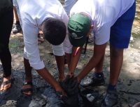 Action Unit Conducts Mangrove Awareness and Training Programme at Madakapuwa | Lanka Mangrove Museum and Learning Center A mangrove awareness and training programme organized by Action Unit was successfully conducted on June 13, 2026, at Madakapuwa with the participation of school students, members of the fishing community, and the staff of Action Unit.