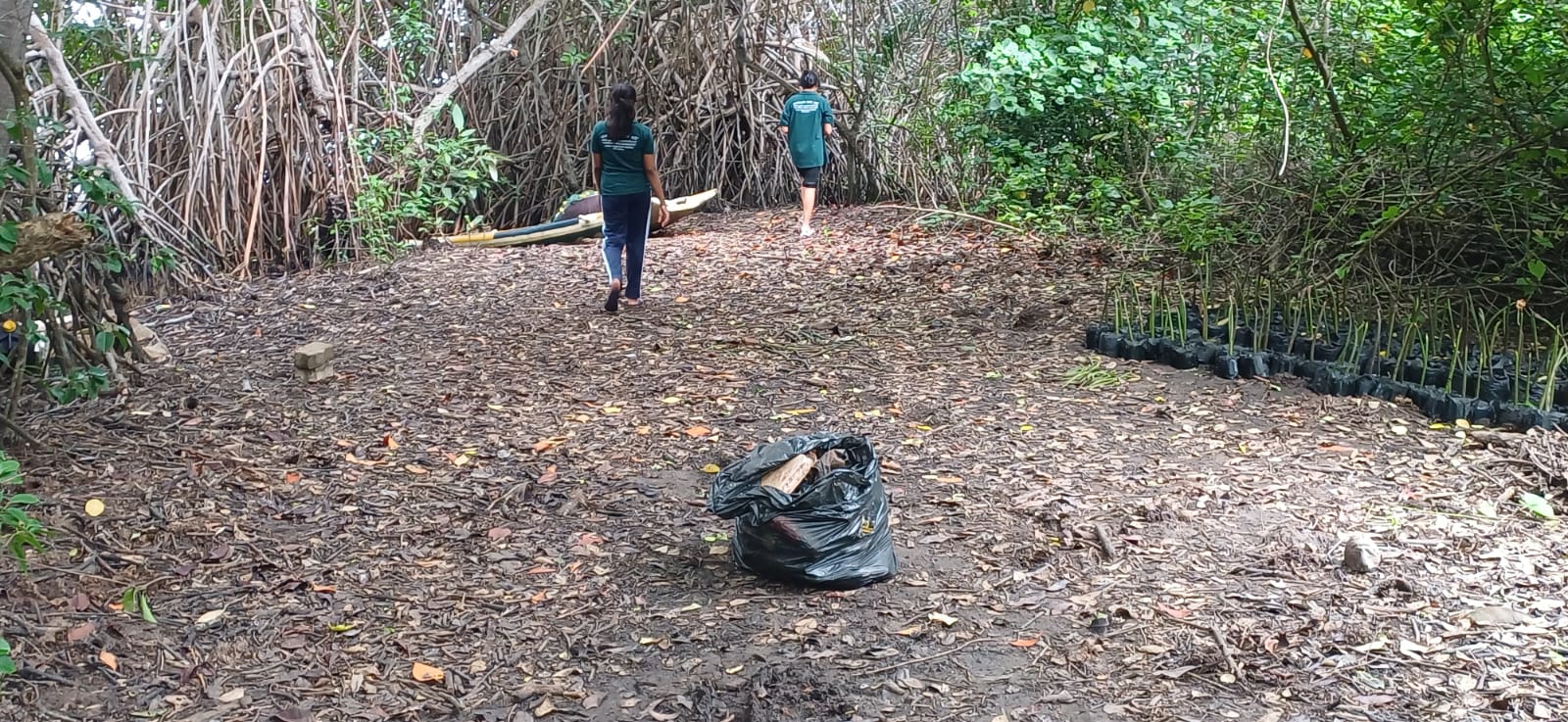 21st June 2026 The Lanka Mangrove Museum and Learning Center conducted a community shramadana (voluntary cleaning program) today to protect and maintain the beauty of the mangrove ecosystem surrounding the museum. As part of this initiative, the museum team came together to clean the mangrove environment and remove waste materials that could negatively affect this valuable coastal ecosystem. The program highlighted the importance of keeping natural habitats clean and preserving the health of mangrove forests. The cleaning activities received support from the Chilaw (Halawatha) Pradeshiya Sabha, assisted by collecting and removing the gathered waste from the area. The Lanka Mangrove Museum and Learning Center appreciates the support and cooperation of everyone who contributed to this environmental initiative. Together, through awareness and action, we can continue to protect Sri Lanka’s precious mangrove ecosystems.