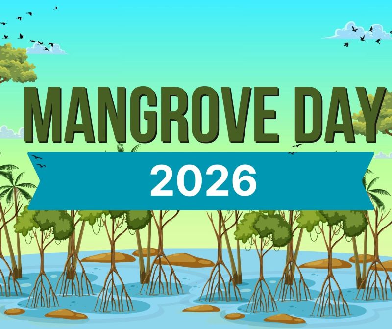 Mangrove Day 2026 event banner over a tropical mangrove swamp illustration with water and trees.