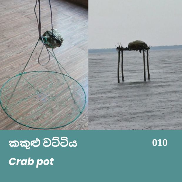Crab pot කකුළු වට්ටිය
