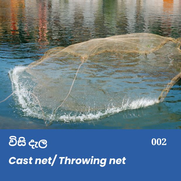 Cast net  Throwing net  විසි දැල
