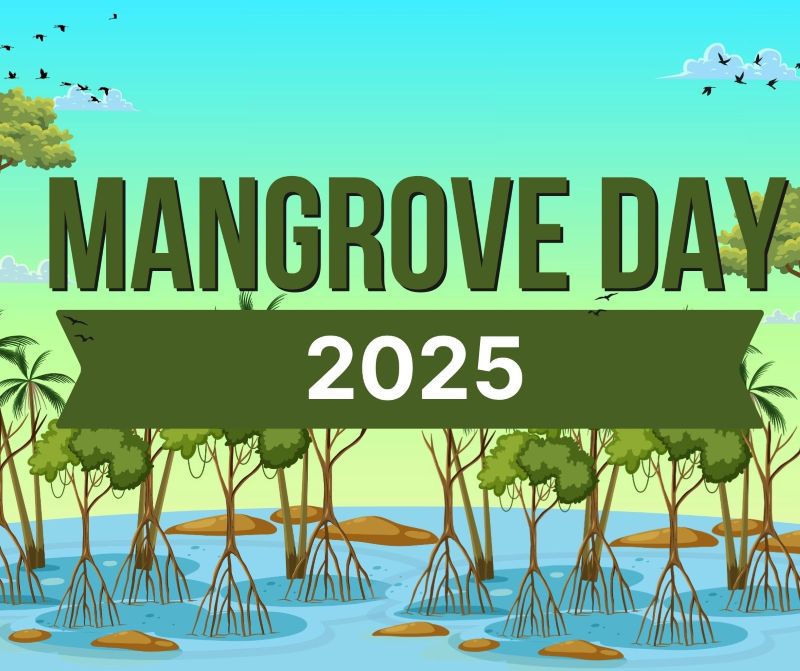 Banner reading Mangrove Day 2025 with a dark green ribbon across and a mangrove swamp background.