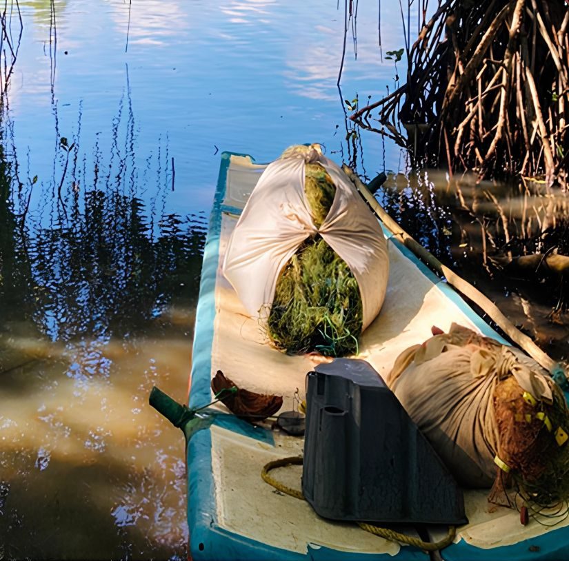 Since ancient times, this type of raft has been widely used for fishing in reservoirs and other inland water bodies in Sri Lanka. Traditionally, it was constructed using about five wooden logs, each measuring approximately 10–12 feet in length. The logs were carefully cleaned, trimmed, and smoothed to reduce their weight and improve buoyancy. Holes were made near both ends of each log, through which two sturdy wooden crossbars were inserted and tightly secured with ropes. These crossbars, locally known as "kombuwa," held the logs firmly together, creating a stable and durable floating platform suitable for fishing activities.
