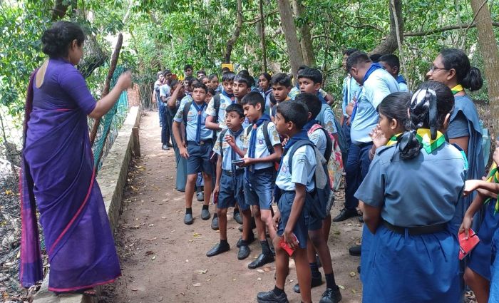 The programme focused on the importance of mangrove ecosystems, their role in protecting coastal environments, conserving biodiversity, and mitigating the impacts of climate change. Through interactive sessions and educational activities, participants gained valuable knowledge on the importance of conserving mangroves and protecting Sri Lanka's coastal ecosystems.