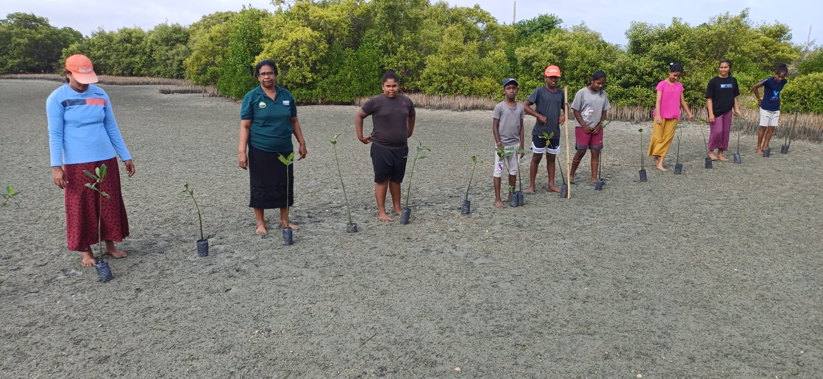 In celebration of International Mangrove Conservation Day, a mangrove restoration programme was successfully carried out today at the Kalpitiya Lagoon, where 960 Red Mangrove (Rhizophora mucronata) saplings were planted.
