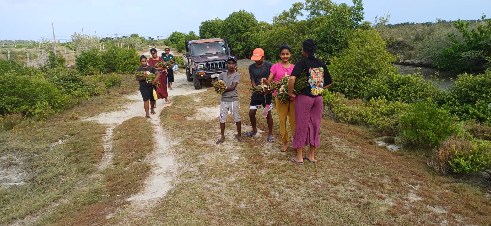 In celebration of International Mangrove Conservation Day, a mangrove restoration programme was successfully carried out today at the Kalpitiya Lagoon, where 960 Red Mangrove (Rhizophora mucronata) saplings were planted.