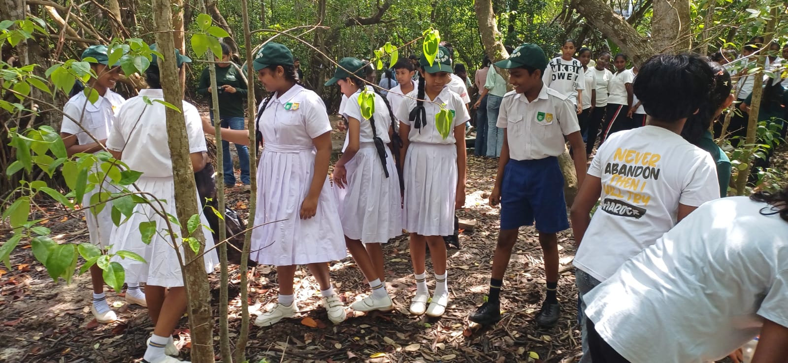 Today, in celebration of International Mangrove Day, a Mangrove Awareness Programme and a Mangrove Reserve Clean-up Campaign were successfully conducted to promote environmental conservation and community participation.