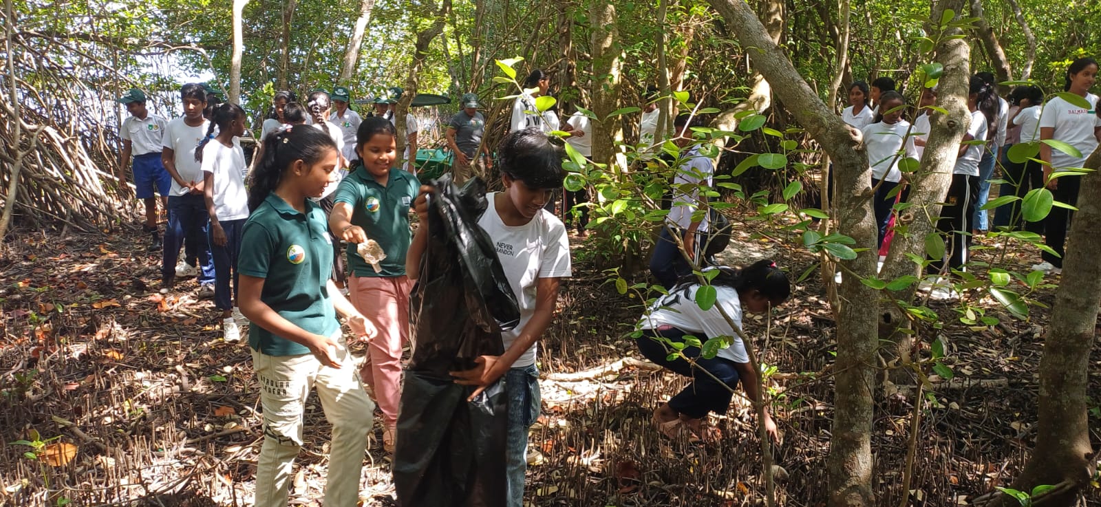 Today, in celebration of International Mangrove Day, a Mangrove Awareness Programme and a Mangrove Reserve Clean-up Campaign were successfully conducted to promote environmental conservation and community participation.