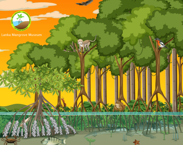 Discover the fascinating animals that call mangrove ecosystems home. Explore how fish, crabs, birds, reptiles, and other wildlife survive in this unique coastal habitat through an engaging and educational game.
