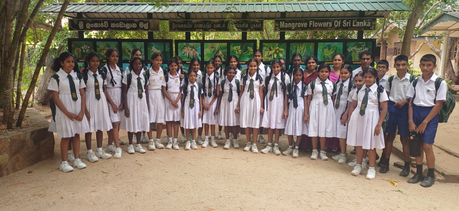 School students from Paduwasnuwara visited the Lanka Mangrove Museum and Learning Center to gain a deeper understanding of mangrove ecosystems, biodiversity, and environmental conservation. During their visit, the students explored the museum exhibits and participated in educational sessions that highlighted the ecological importance of mangroves and the need for their conservation.