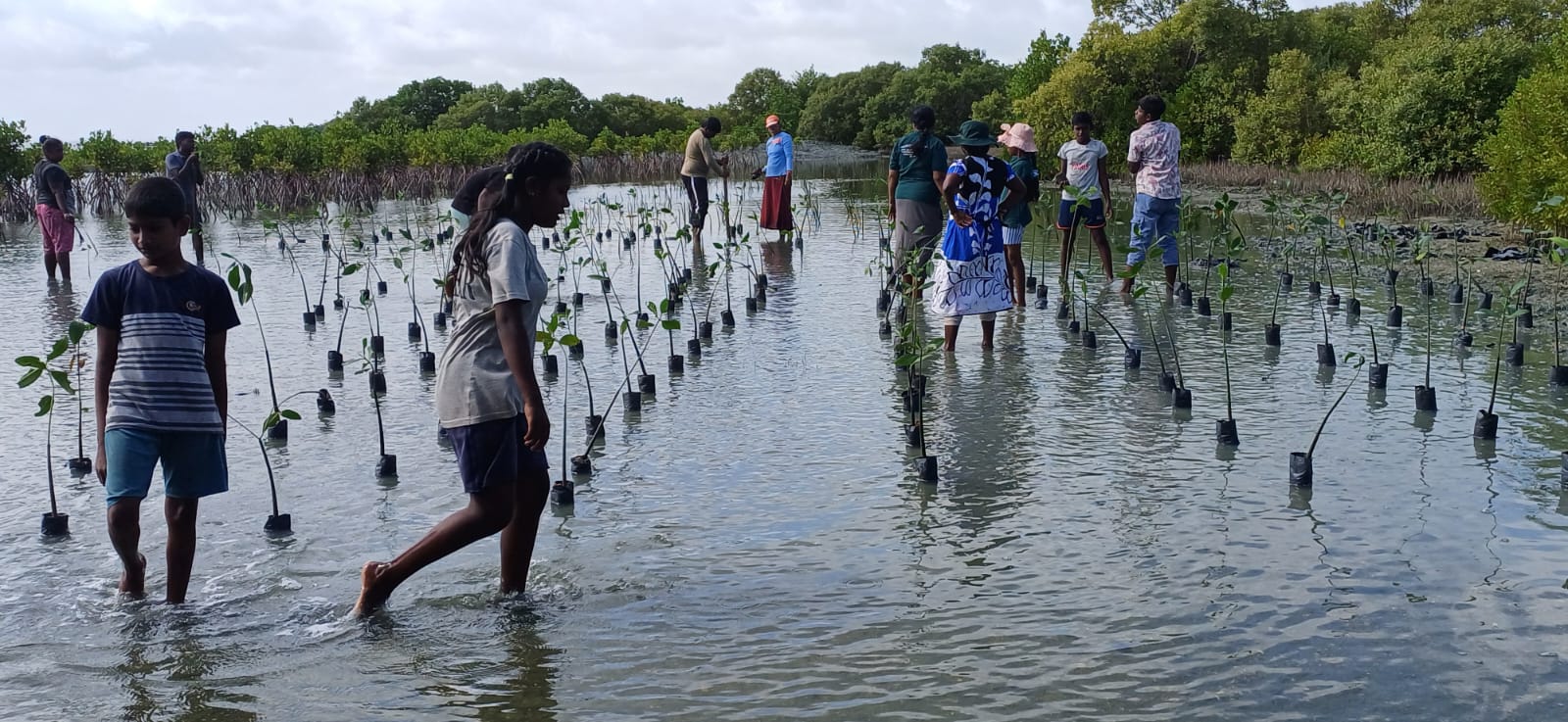 The programme aimed to encourage children to understand the importance of environmental conservation and to develop a sense of responsibility towards protecting nature. The children actively participated in planting young plants and learned about the importance of caring for them and protecting the environment.