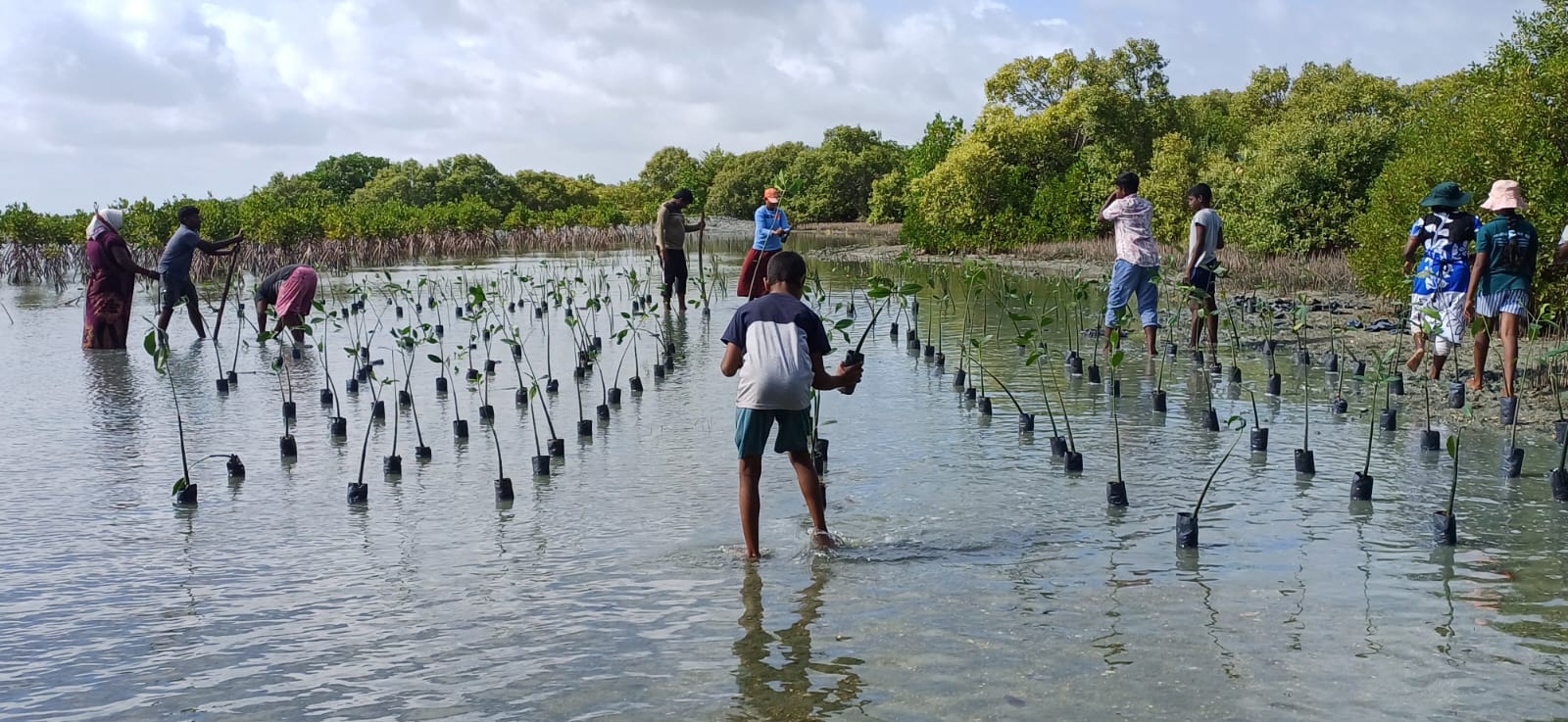 The programme aimed to encourage children to understand the importance of environmental conservation and to develop a sense of responsibility towards protecting nature. The children actively participated in planting young plants and learned about the importance of caring for them and protecting the environment.