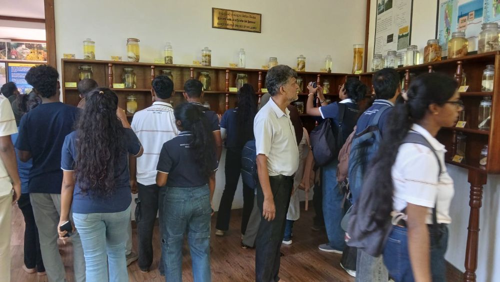 On 29 September 2026, a group of students and lecturers from Wayamba University of Sri Lanka visited the Lanka Mangrove Museum and Learning Center.