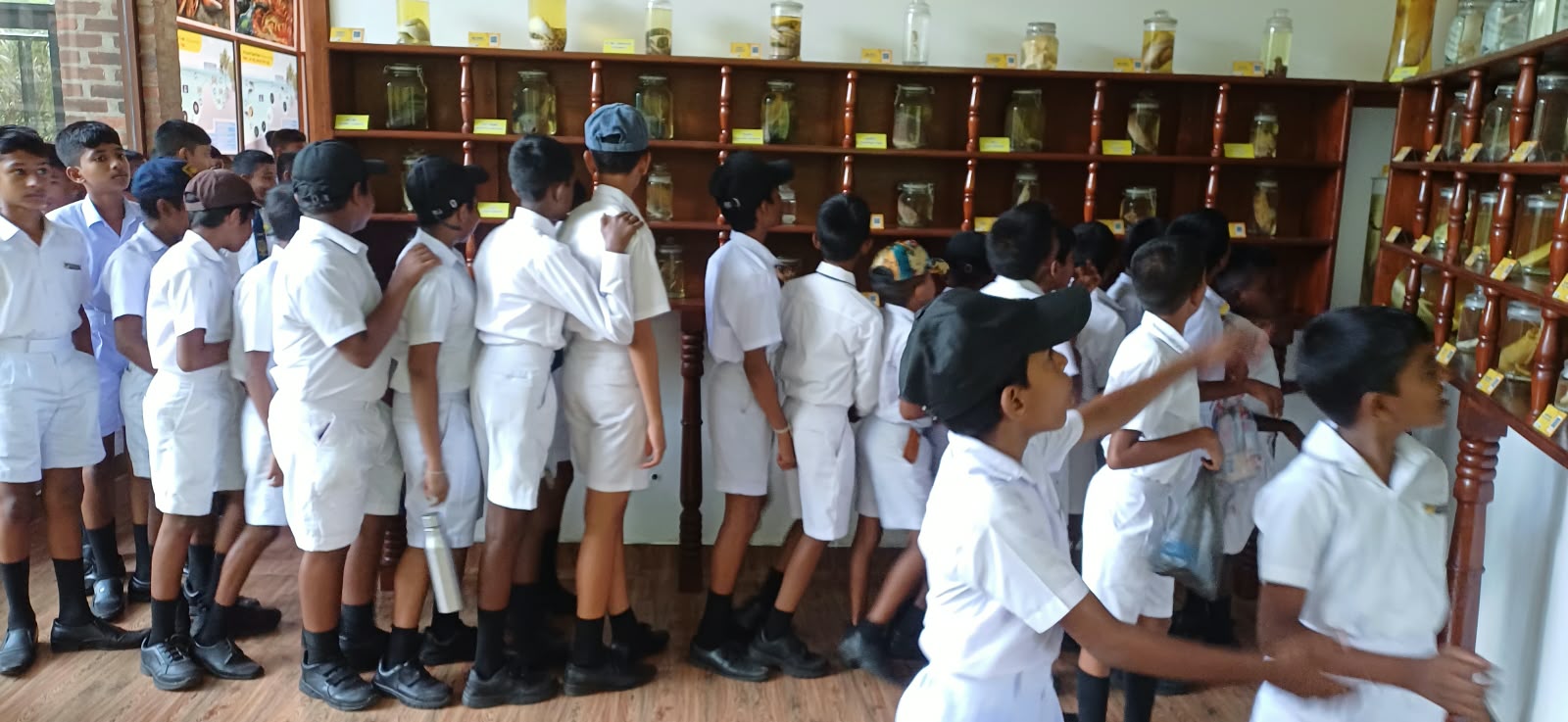 On 29 August 2026, a group of students from a school in Anuradhapura visited the Lanka Mangrove Museum and Learning Center.