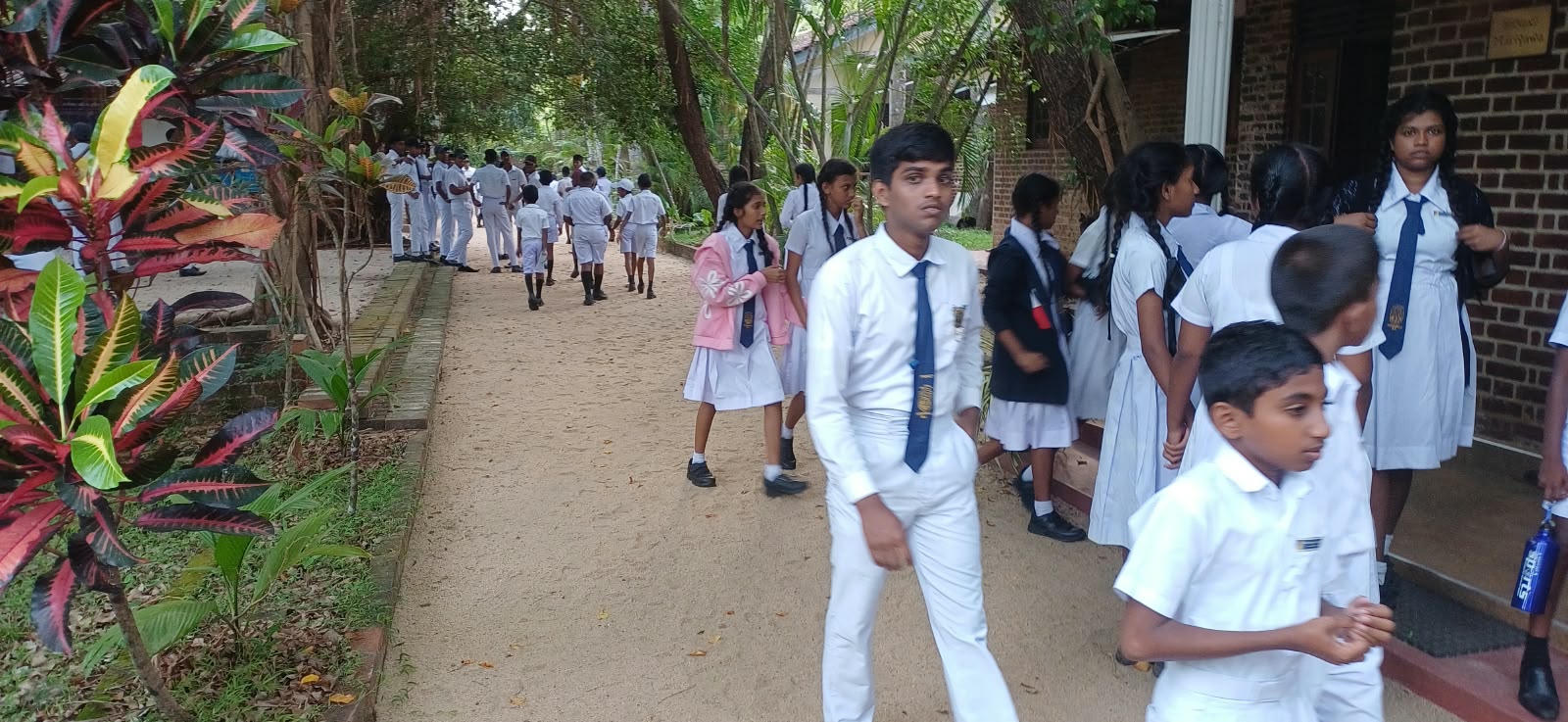 On 29 August 2026, a group of students from a school in Anuradhapura visited the Lanka Mangrove Museum and Learning Center.