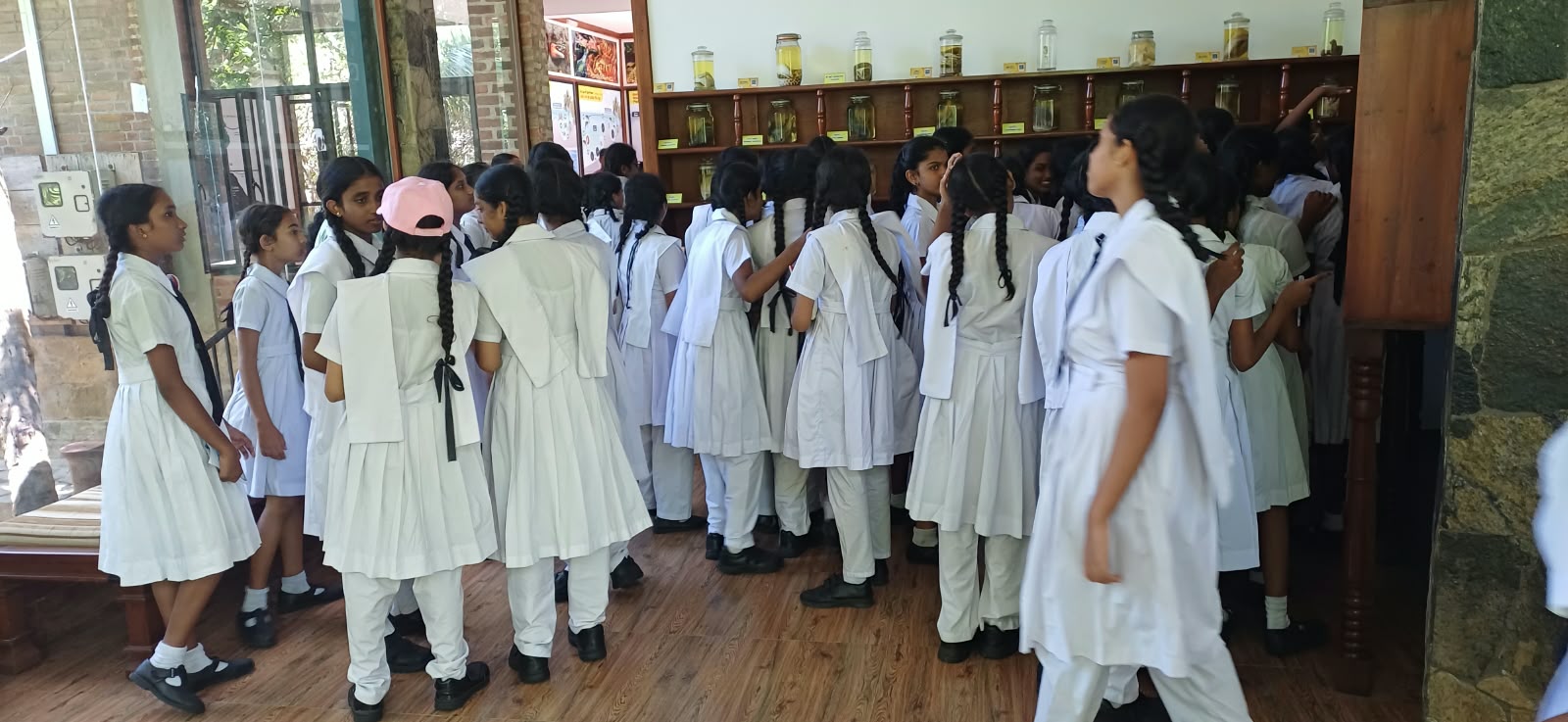 On 8th October 2026, a group of students from Kolonnawa Balika Vidyalaya visited the Lanka Mangrove Museum & Learning Center as part of an educational excursion. The visit provided the students with an opportunity to explore Sri Lanka's unique mangrove ecosystems, discover the rich biodiversity associated with mangrove habitats, and understand the vital role mangroves play in protecting coastal environments.