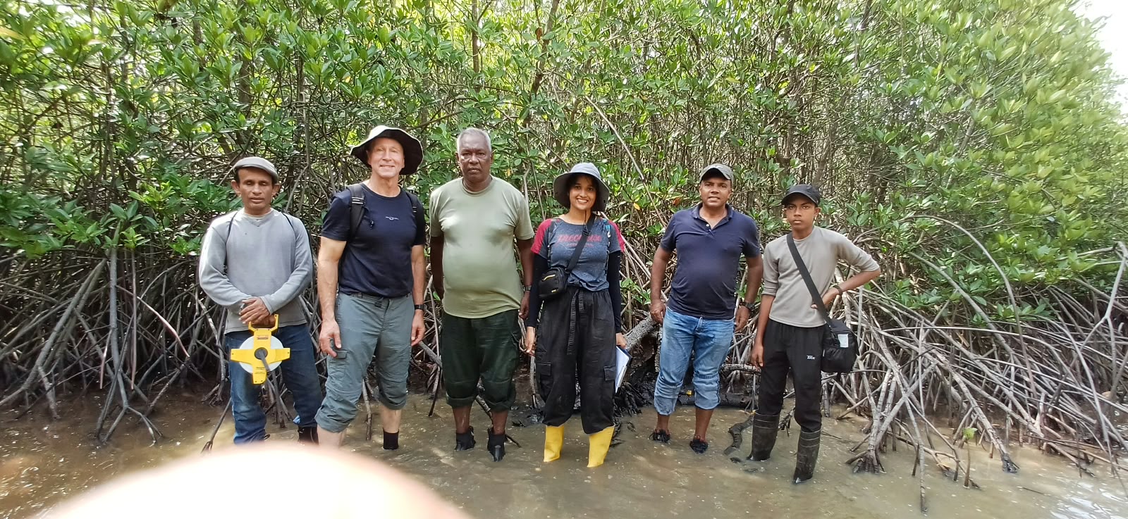 A research study was conducted on 12 October 2026 to investigate mangrove saplings planted in 1994, 1996, and 1998 in the Pambala–Chilaw Lagoon area. The study aimed to examine these historical mangrove plantations and contribute to a better understanding of long-term mangrove growth and conservation.