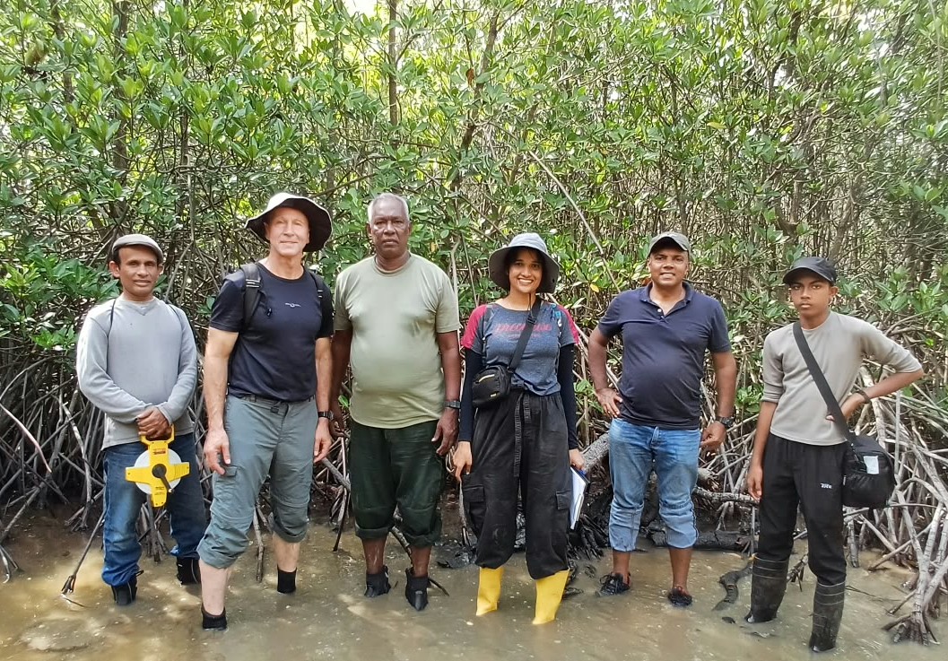 A research study was conducted on 12 October 2026 to investigate mangrove saplings planted in 1994, 1996, and 1998 in the Pambala–Chilaw Lagoon area. The study aimed to examine these historical mangrove plantations and contribute to a better understanding of long-term mangrove growth and conservation.