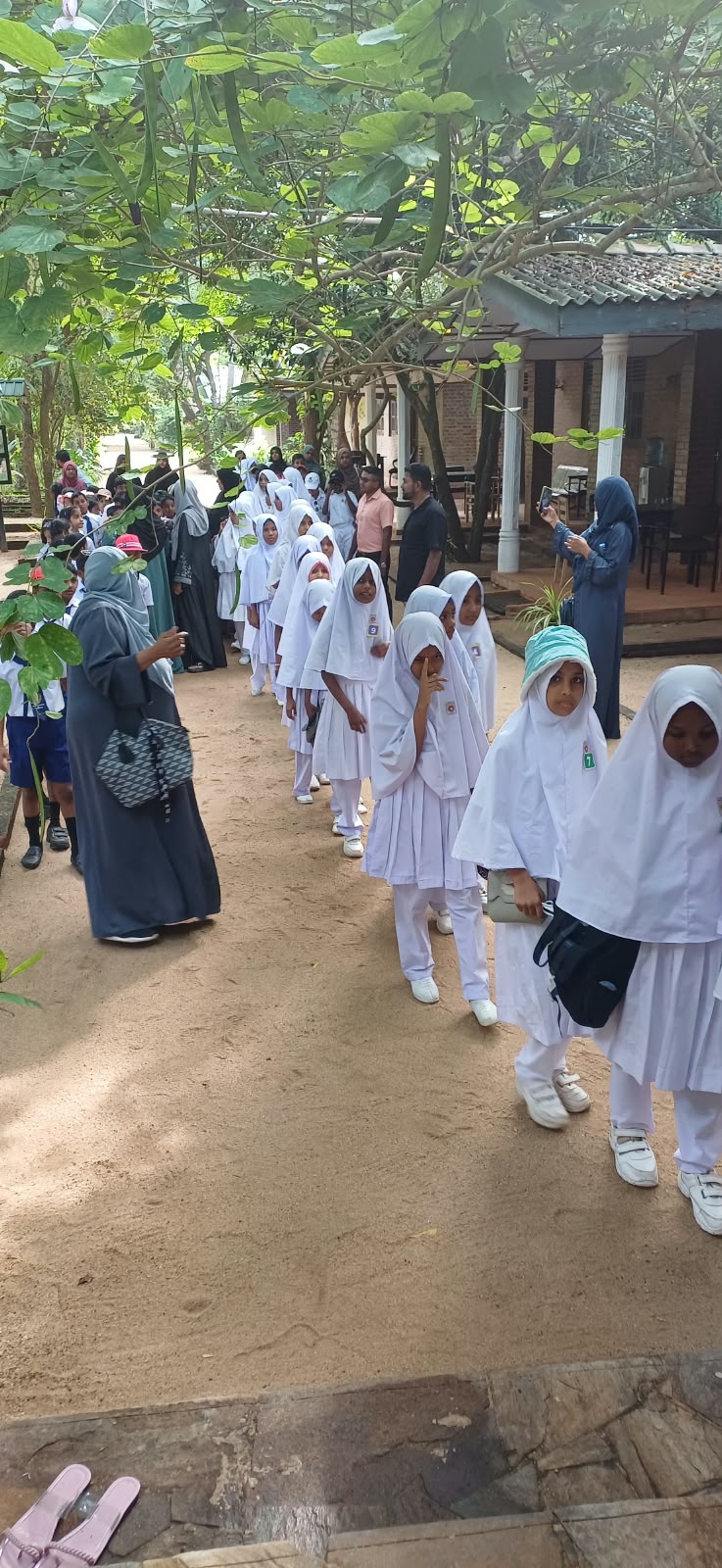 On 14th October 2026, a group of students from Minuwangoda Pasyala Muslim Vidyalaya visited the Lanka Mangrove Museum & Learning Center in Pambala, Chilaw. The educational visit provided an opportunity for the students to explore the fascinating world of mangrove ecosystems and understand their importance in protecting coastal environments, supporting biodiversity, and maintaining ecological balance.