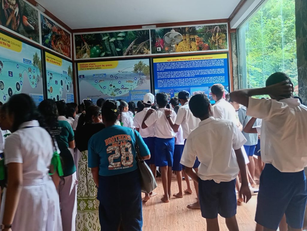 The visit provided a valuable opportunity for the students to explore the fascinating world of mangrove ecosystems and learn about their importance in protecting coastal environments, supporting biodiversity, and maintaining ecological balance. 🌱 Through educational activities and firsthand experiences, the students gained a deeper understanding of mangrove conservation and the importance of protecting our natural heritage for future generations.
