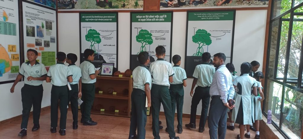 On 22nd October 2026, students from Kopiwatta School, Minuwangoda, visited the Lanka Mangrove Museum and Learning Center for an educational experience. 🌱 The visit provided an excellent opportunity for the students to learn about the importance of mangrove ecosystems, their role in protecting coastal environments, and the need to conserve biodiversity. 💚 By encouraging environmental awareness among young learners, we hope to inspire the next generation to become responsible guardians of nature. 🌍 We sincerely thank the students and teachers of Kopiwatta School, Minuwangoda, for visiting our museum and showing an interest in mangrove conservation. 🌳 Today's young learners are tomorrow's environmental protectors!
