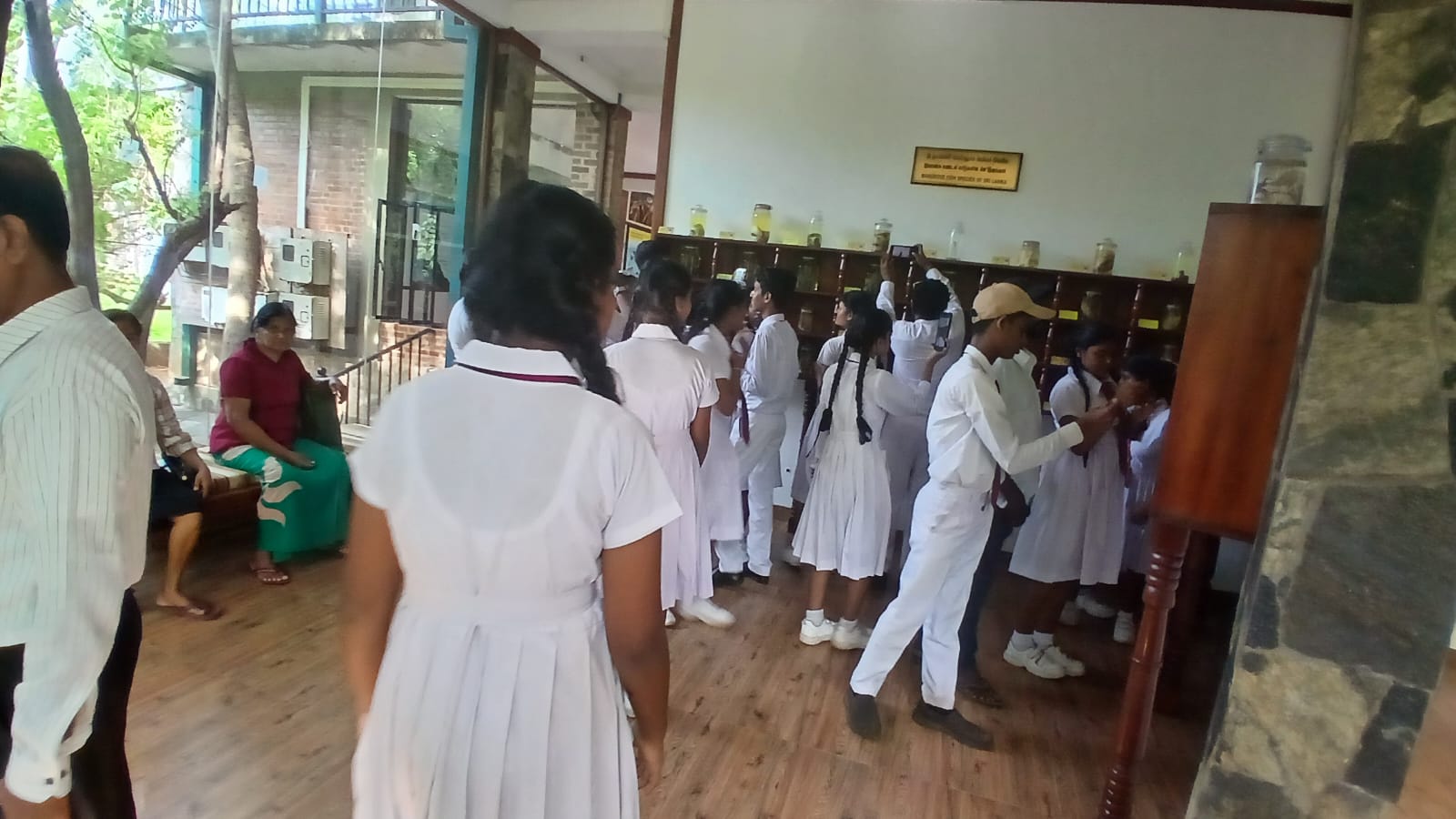 School students in white uniforms gather in a room with shelves of glass jars, examining displays together.