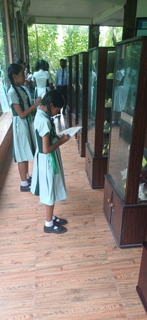 On 22nd October 2026, students from Kopiwatta School, Minuwangoda, visited the Lanka Mangrove Museum and Learning Center for an educational experience. 🌱 The visit provided an excellent opportunity for the students to learn about the importance of mangrove ecosystems, their role in protecting coastal environments, and the need to conserve biodiversity. 💚 By encouraging environmental awareness among young learners, we hope to inspire the next generation to become responsible guardians of nature. 🌍 We sincerely thank the students and teachers of Kopiwatta School, Minuwangoda, for visiting our museum and showing an interest in mangrove conservation. 🌳 Today's young learners are tomorrow's environmental protectors!